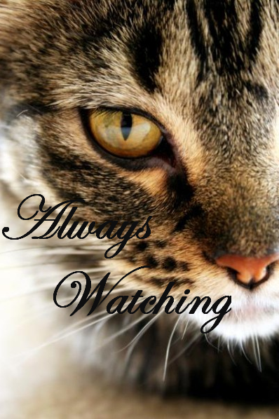 Warrior Cats