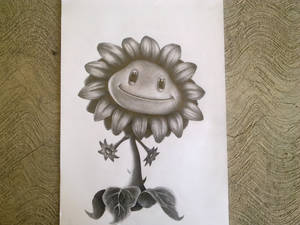 Sunflower/Girasol