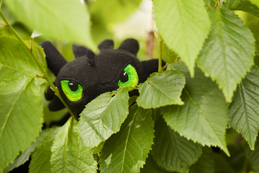 Toothless plush, embroidered eyes