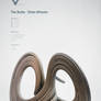 Strange Attractors - The Burke - Shaw Attractor