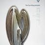 Strange Attractors - The Four - Wing Attractor