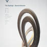 Strange Attractors - The Rayleight - Benard Attr.