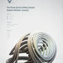 Strange Attractors - The TSUCS 2 Attractor