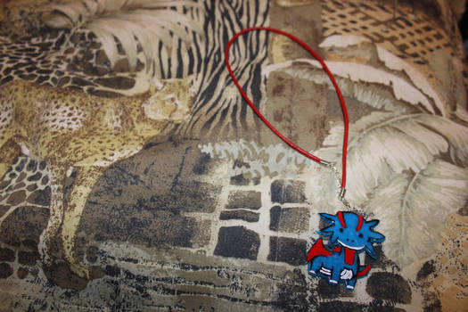 Derpy Salamence charm