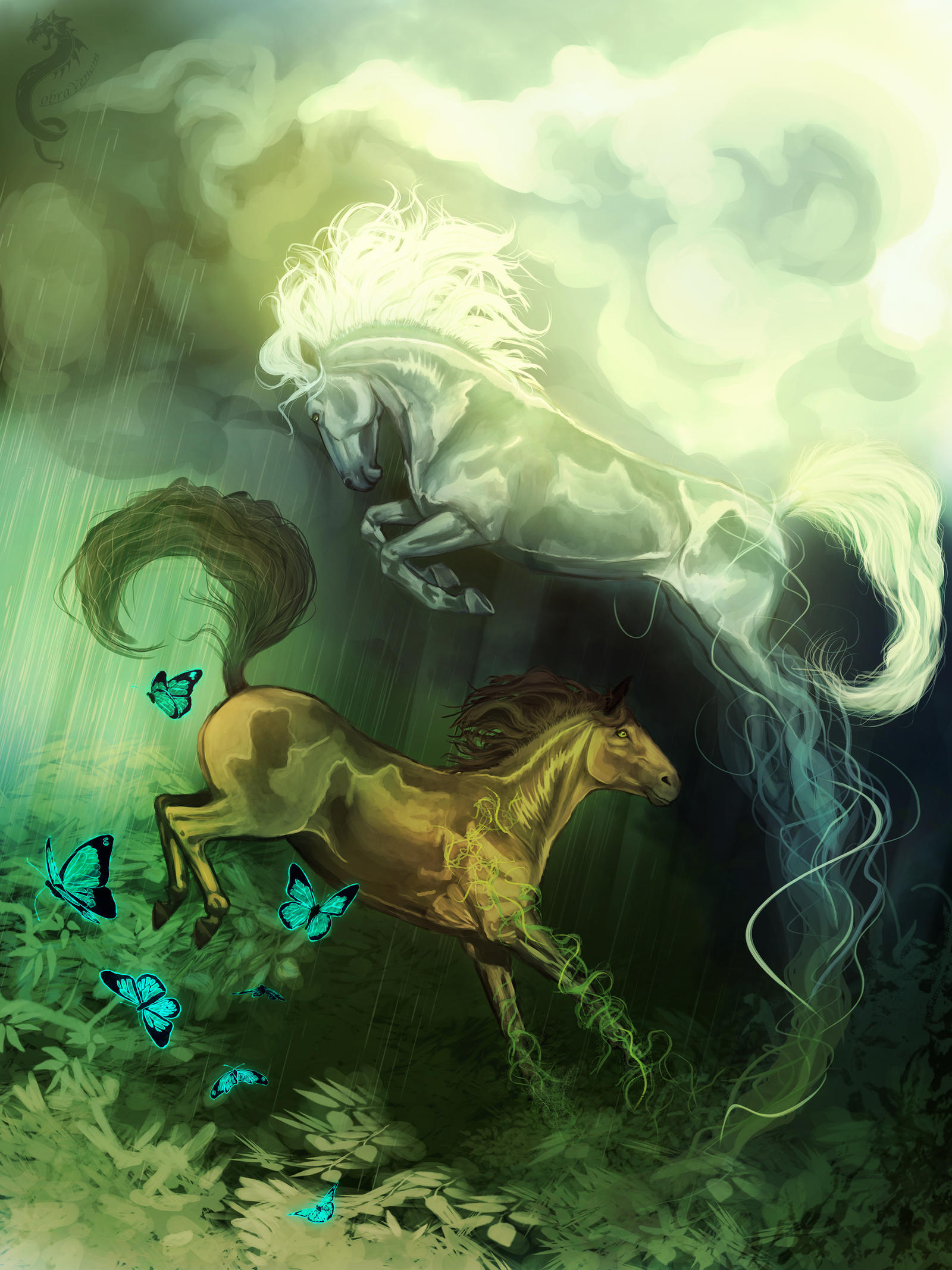 Yin Yang by CobraVenom
