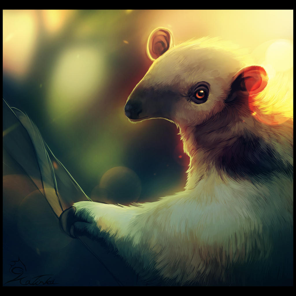 Sun Gazer by CobraVenom