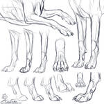 Study: Canine forepaws by CobraVenom