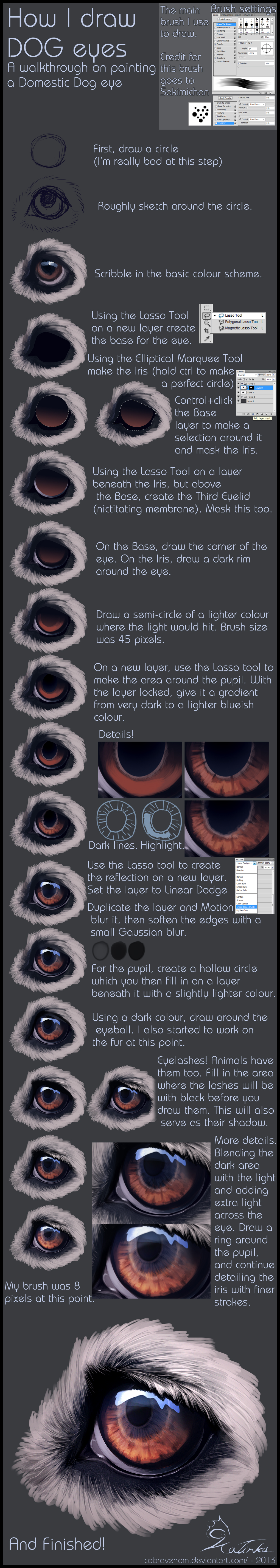 Tutorial: Dog eye