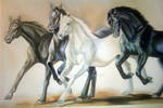 Horses by detasar