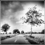 along the road by Weissglut