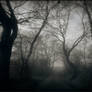 invisible hope