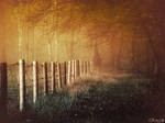 Path Of Illusions by Weissglut