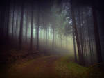 Hear The Whisper by Weissglut Hear The Whisper by Weissglut