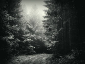 Somewhere In The Dark by Weissglut