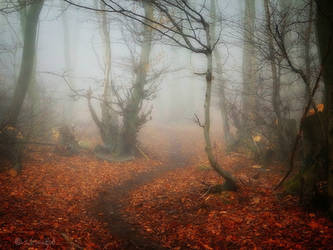 Last Autumn by Weissglut