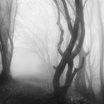 I3 by Weissglut