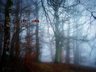 Be Quiet by Weissglut