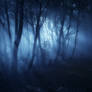 Mystic Forest Light