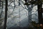 Consider... by Weissglut Consider... by Weissglut