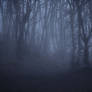 Forest Of Ghosts