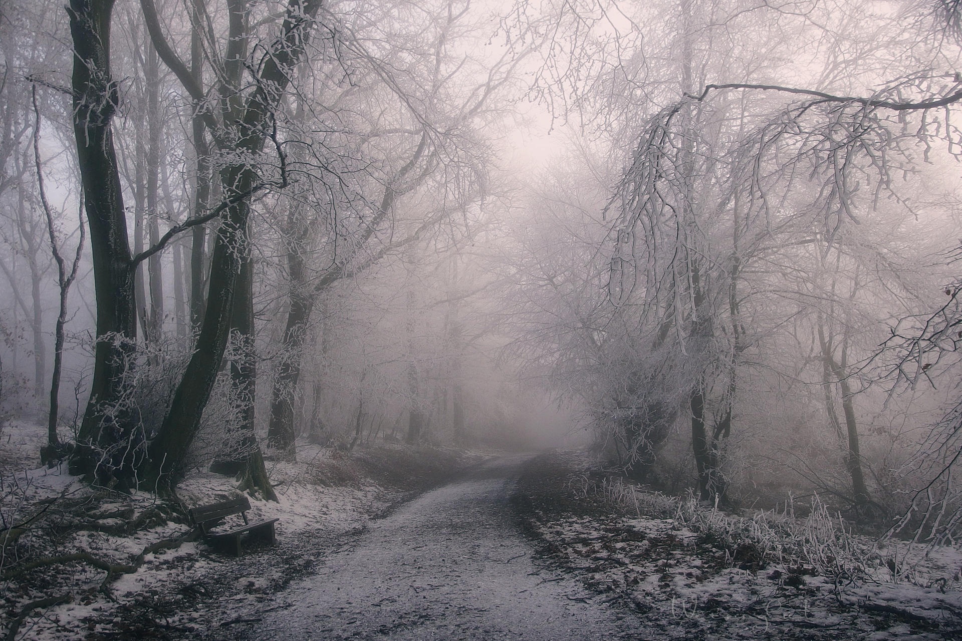 frostiger Wald by Weissglut on DeviantArt frostiger Wald by Weissglut on DeviantArt