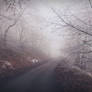 Into The Cold