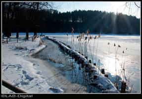 Icy Edge