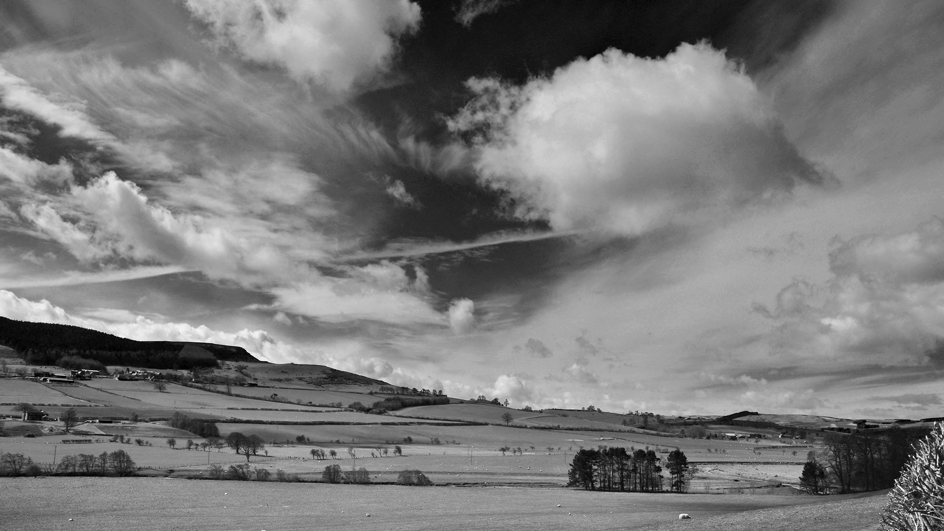 Northumberland Skies