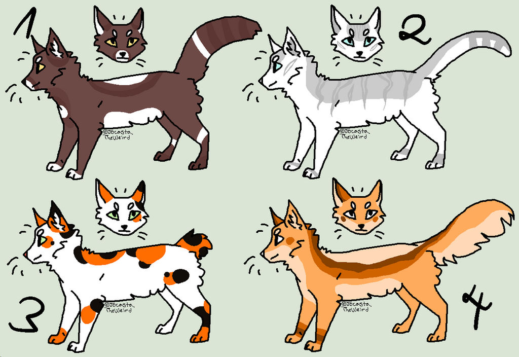 cheap cat adoptables