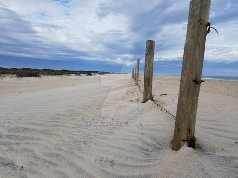 Beach Fence