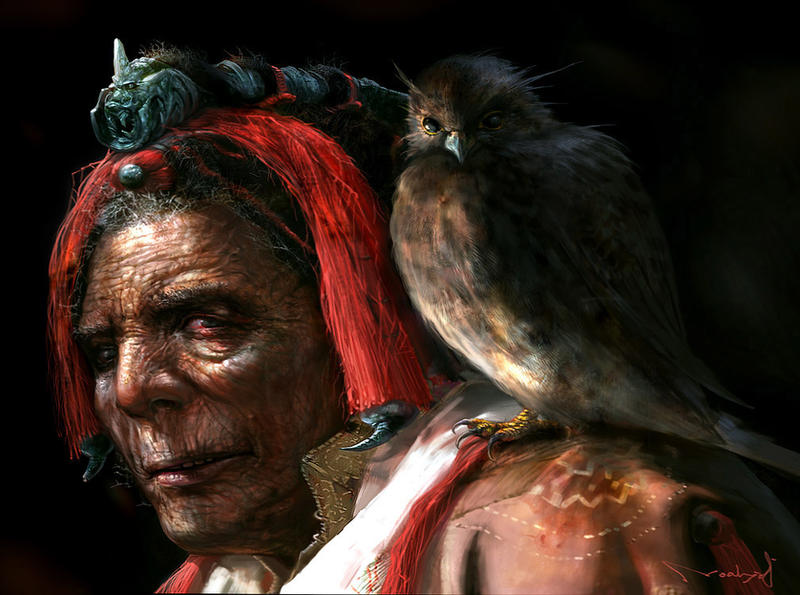 old man and falcon by noah-kh