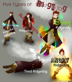 5 types of Ridgedog