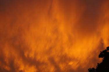 Fiery Skies