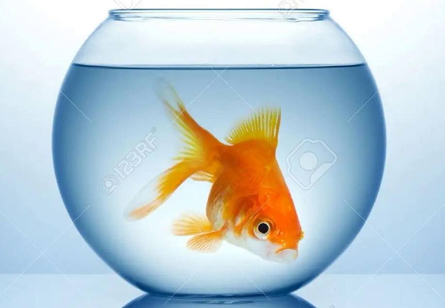 Windows Vista High Resolution User Tiles by schooch458934 on DeviantArt