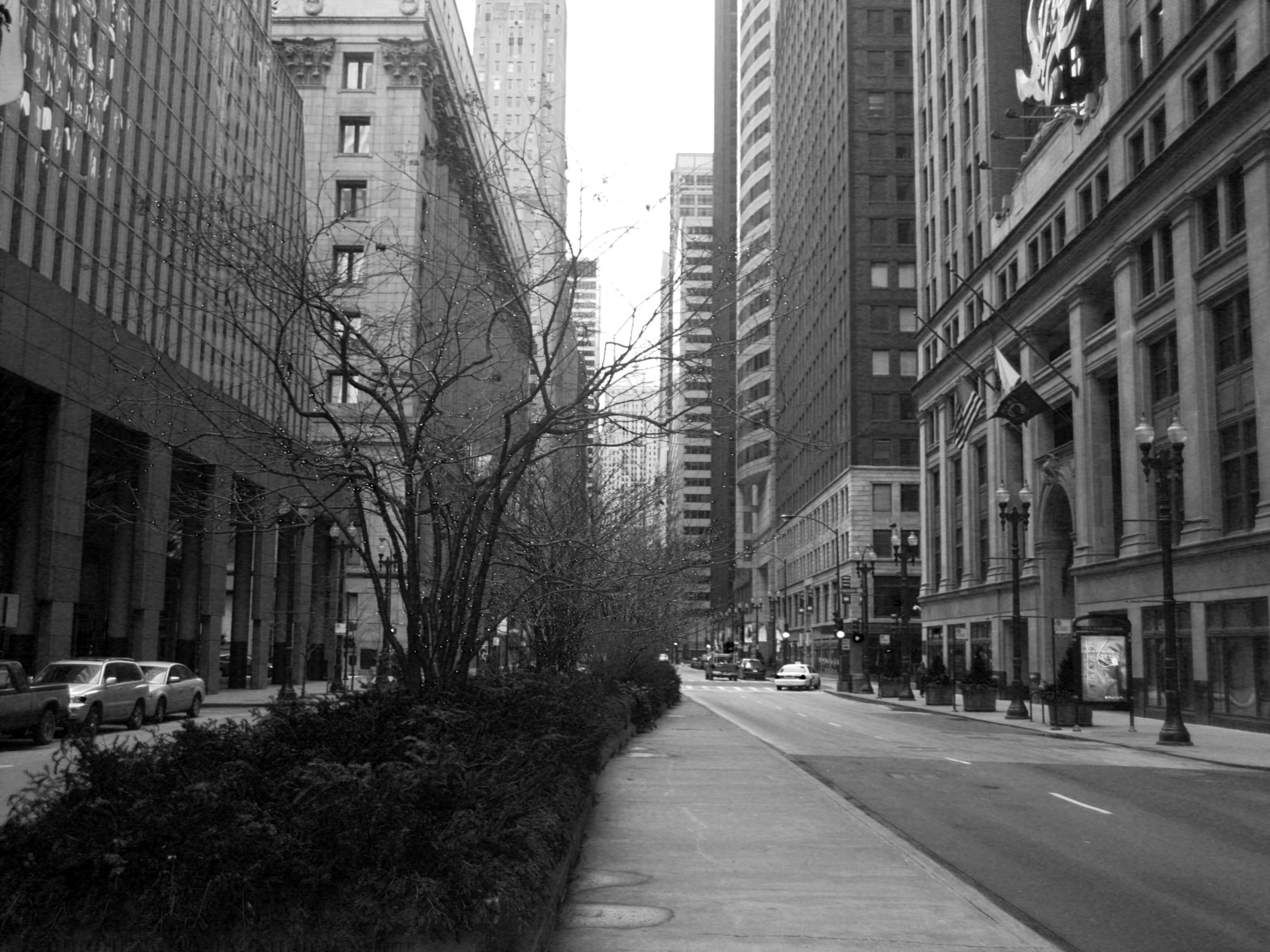 LaSalle Street in Winter