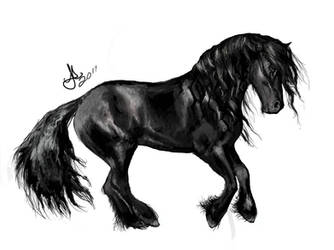 Friesian