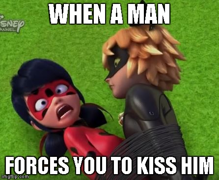 Miraculous Ladybug Meme 8