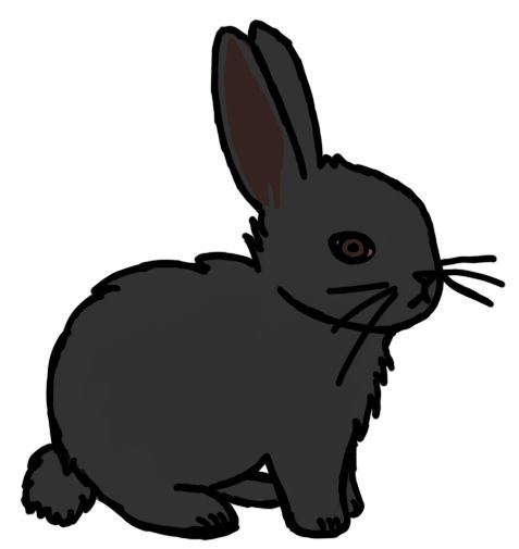 Black bunny by Holly8 on DeviantArt