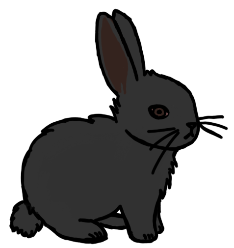 Black bunny