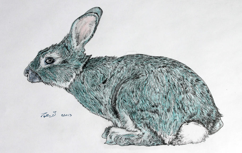 Turquoise Rabbit by TripleS-Art on DeviantArt