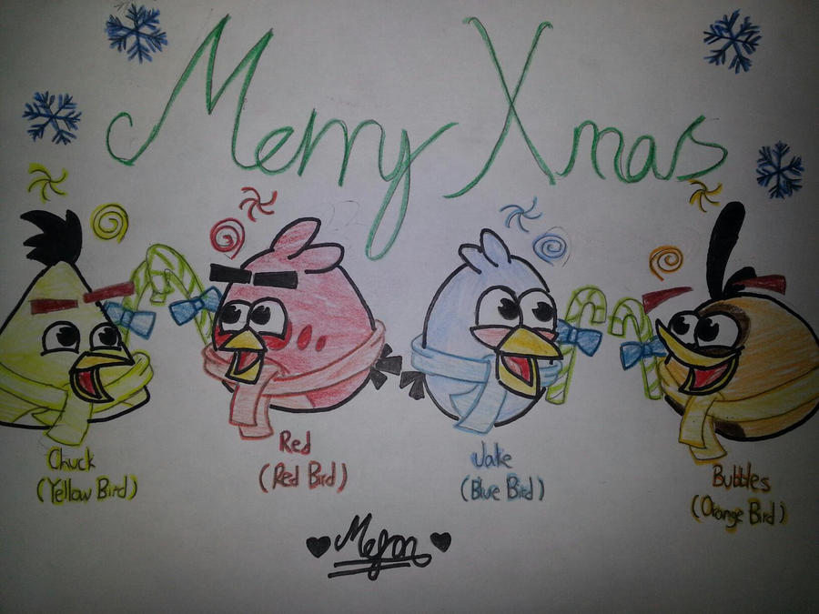 Merry Xmas from the Male Angry Birds