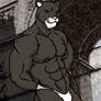 Blacksad Gets Big