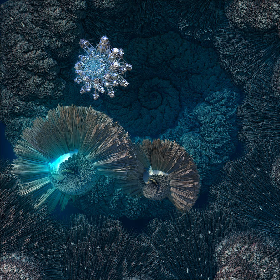 NAUTILUS by bo-dion