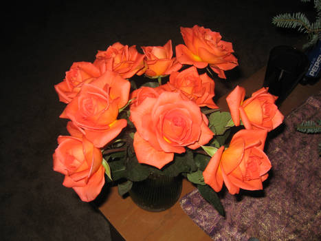 Orange Roses