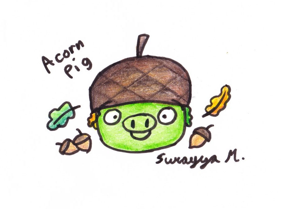 Acorn Pig