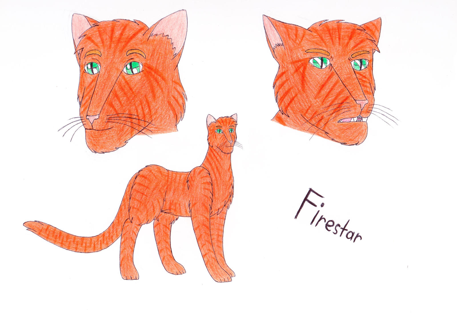 Firestar .:Warrior Cats:. rivstars - Illustrations ART street