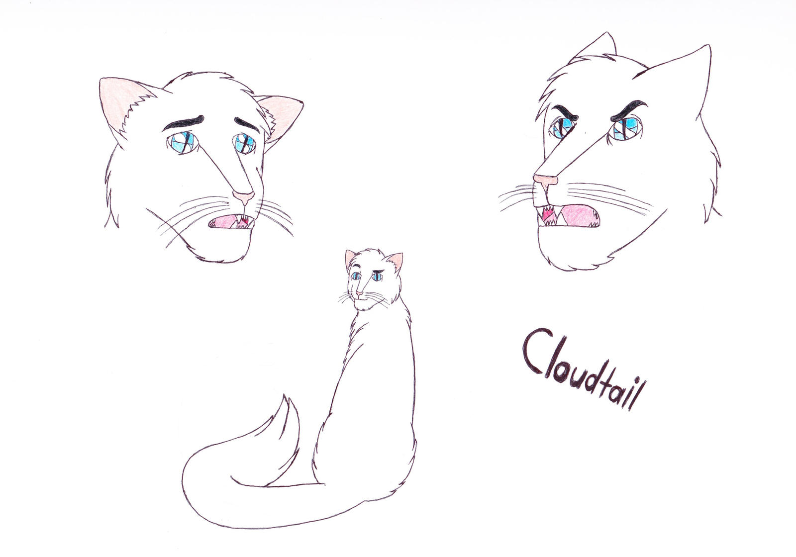 Warrior Cats Cloudtail By MaskedLady710 On DeviantArt warrior-cats-cloudtail-by-maskedlady710-on-deviantart