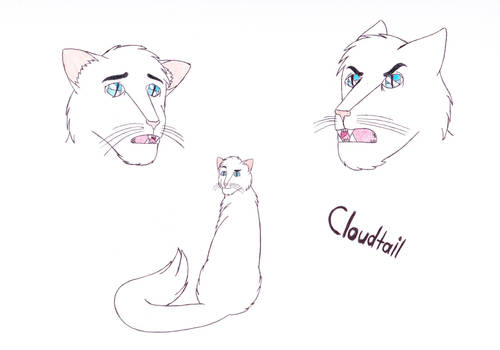 Warrior Cats - Cloudtail