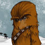 Chewbacca the Wookie