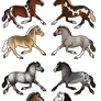 HARPG Horse Designs || 5/8 Open
